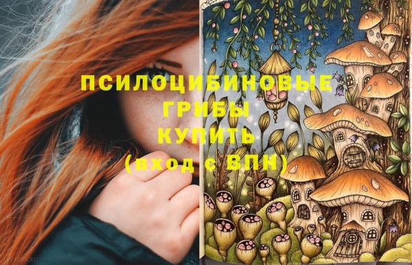 соль ск Заводоуковск